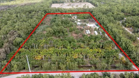 20199 Cole Lane The Acreage FL 33470