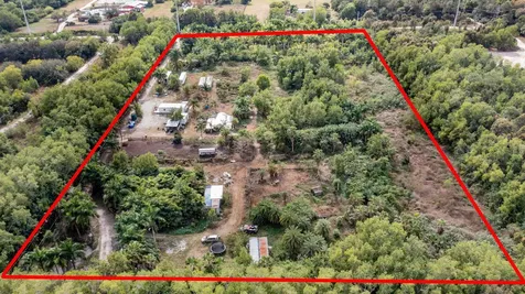 20199 Cole Lane The Acreage FL 33470