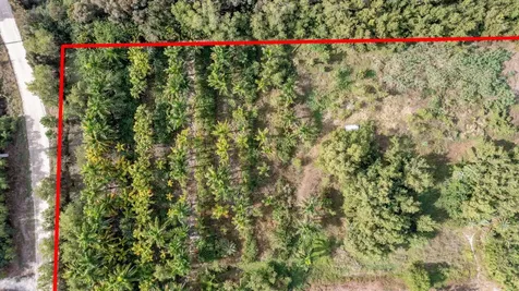 20199 Cole Lane The Acreage FL 33470