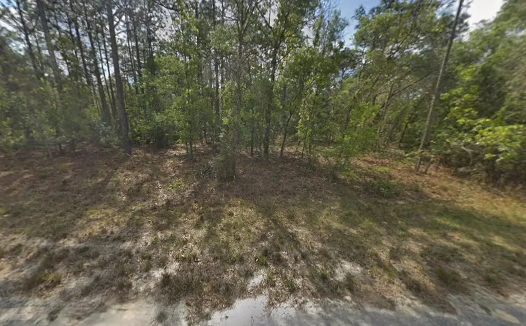 Tbd Resort Avenue Weeki Wachee FL 34614