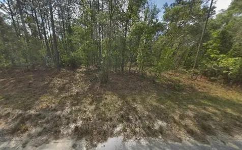 Tbd Resort Avenue Weeki Wachee FL 34614