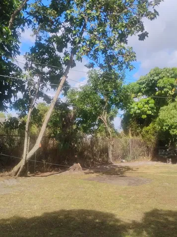 3425 Grace Avenue Palm Springs FL 33461
