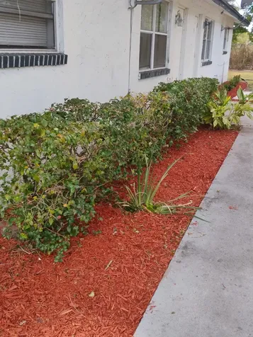 3425 Grace Avenue Palm Springs FL 33461