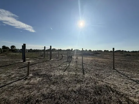 21377 NW 276th Street Okeechobee FL 34972