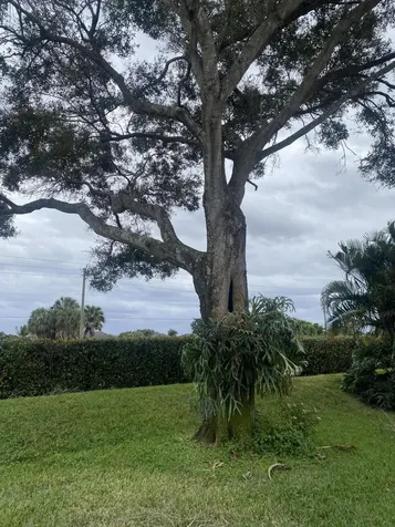 6115 Bay Isles Drive Boynton Beach FL 33437