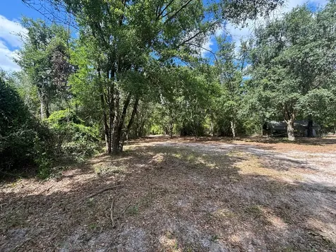 423 Nw Bright Lake Court White Springs FL 32096