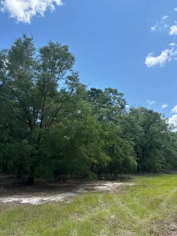 423 Nw Bright Lake Court White Springs FL 32096