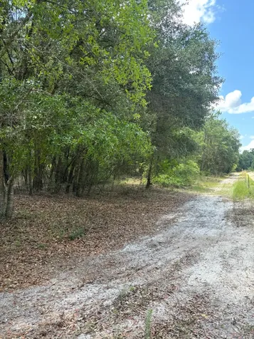 423 Nw Bright Lake Court White Springs FL 32096