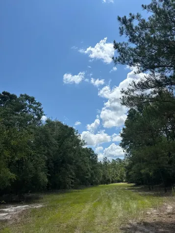 423 Nw Bright Lake Court White Springs FL 32096