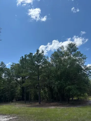 423 Nw Bright Lake Court White Springs FL 32096