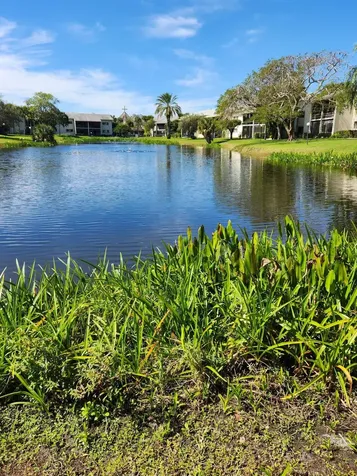 3105 Se Aster Lane Stuart FL 34994