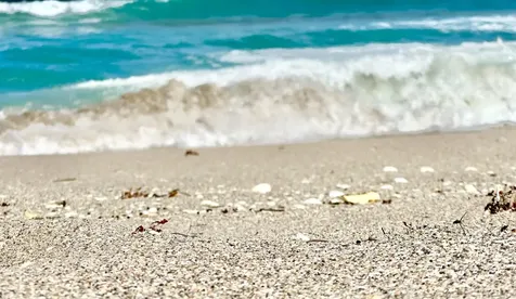 5400 N Ocean Drive Singer Island FL 33404