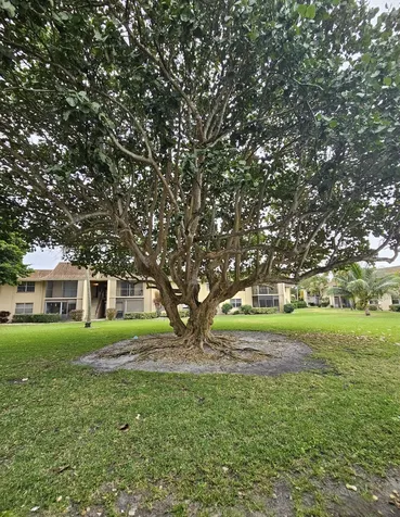 1271 Nw 13th Street Boca Raton FL 33486