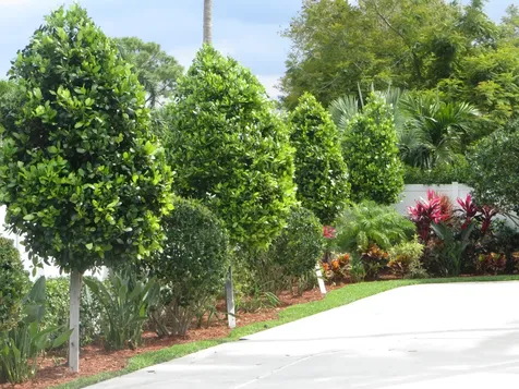 5730 Vista Linda Lane Boca Raton FL 33433