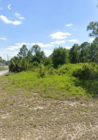 2515 54th Street Lehigh Acres FL 33971