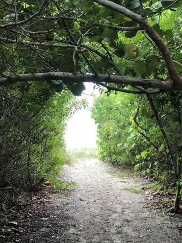 2805 N Highway A1a Fort Pierce FL 34949