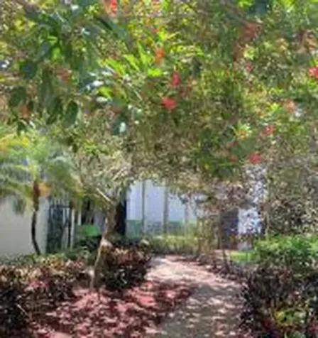 1915 Lavers Circle Delray Beach FL 33444