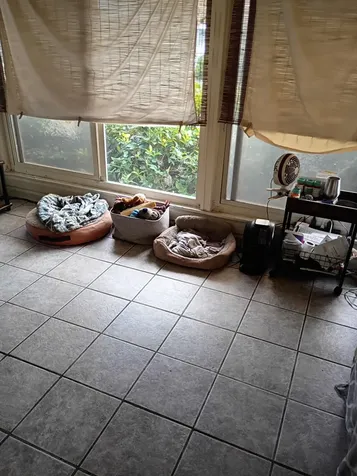 6567 Nw 34th Avenue Coconut Creek FL 33073