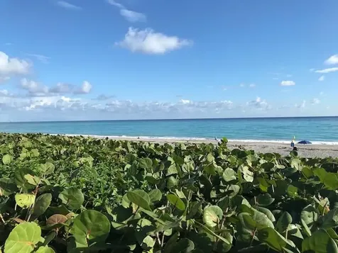 1420 Ocean Way Jupiter FL 33477