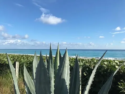 1420 Ocean Way Jupiter FL 33477