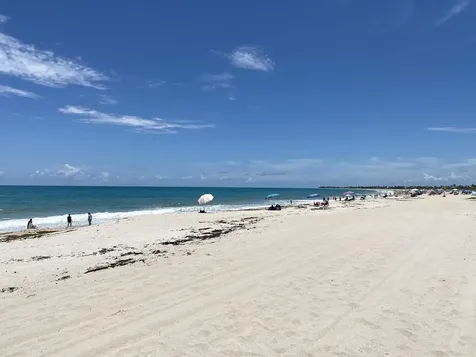 956 Tulip Lane Vero Beach FL 32963