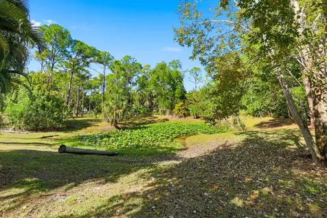 10297 Sandy Run Jupiter FL 33478