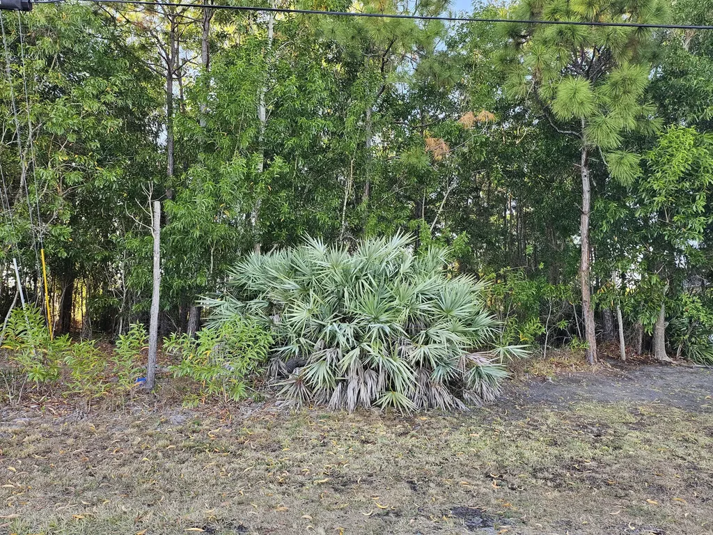 5436 NW Briscoe Drive Port Saint Lucie FL 34986