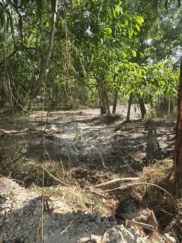 17534 42nd Road The Acreage FL 33470