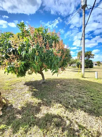 721 Sw Swan Avenue Port Saint Lucie FL 34983