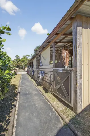 2910 Doe Trail Loxahatchee FL 33470