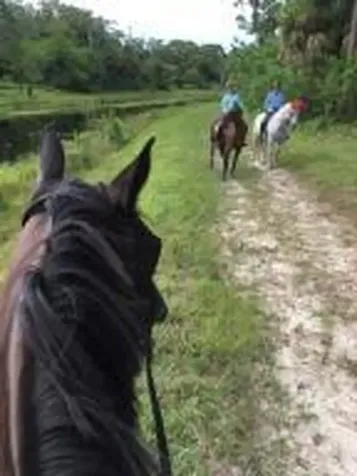 2910 Doe Trail Loxahatchee FL 33470