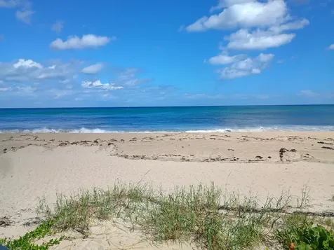 5505 N Ocean Boulevard Ocean Ridge FL 33435