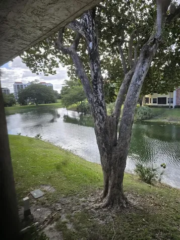 7484 La Paz Boulevard Boca Raton FL 33433