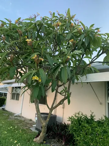 200 South Boulevard Boynton Beach FL 33435