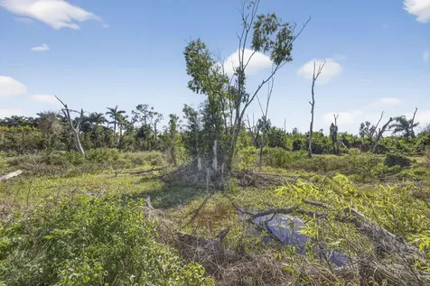 16296 Deer Path Lane Wellington FL 33470
