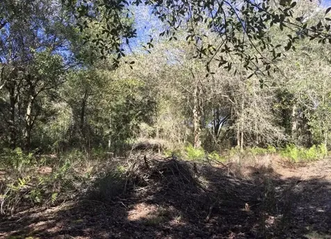 17444 NW 286th Street Okeechobee FL 34972