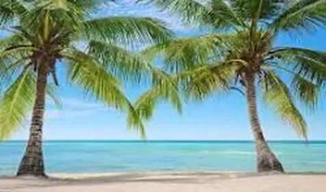 5440 N Ocean Drive Singer Island FL 33404