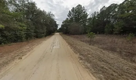 Tbd Mullins Avenue Interlachen FL 32148