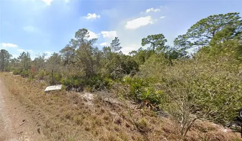 1256 Kumquat Street Lake Placid FL 33852