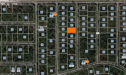 1256 Kumquat Street Lake Placid FL 33852