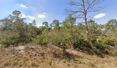 1256 Kumquat Street Lake Placid FL 33852