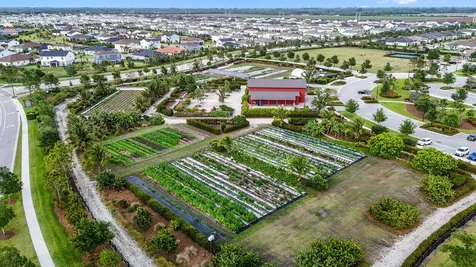 19545 Broad Shore Walk Loxahatchee FL 33470