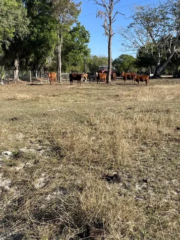 1220 A Road LaBelle FL 33935