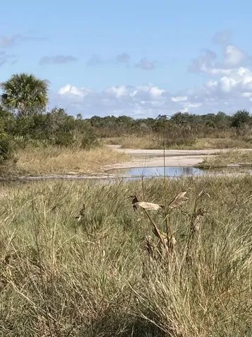 0 NW 308th Street Okeechobee FL 34972