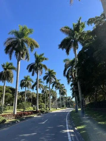 Greenacres FL 33463