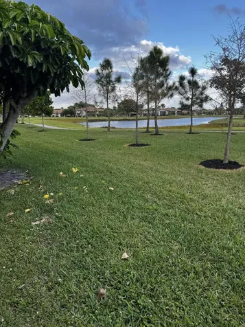13192 Lucinda Palm Court Delray Beach FL 33484