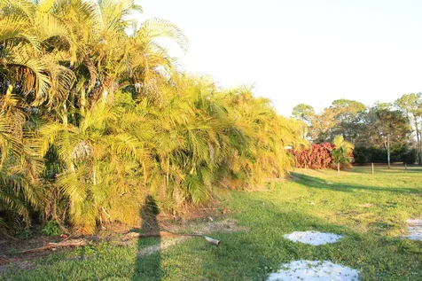 11988 49th Street Royal Palm Beach FL 33411