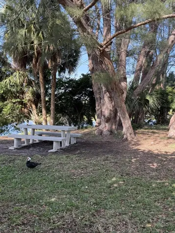 2960 Lake Osborne Drive Lake Worth Beach FL 33461