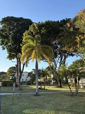 230 Bedford I West Palm Beach FL 33417