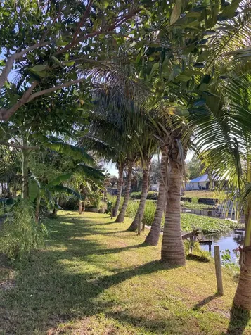 3112 Se 24th Street Street Okeechobee FL 34974